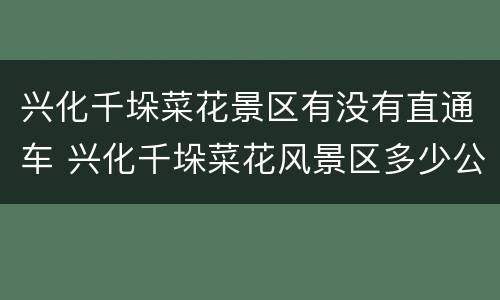 兴化千垛菜花景区有没有直通车 兴化千垛菜花风景区多少公里
