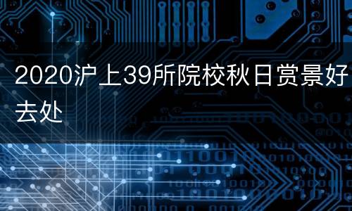 2020沪上39所院校秋日赏景好去处