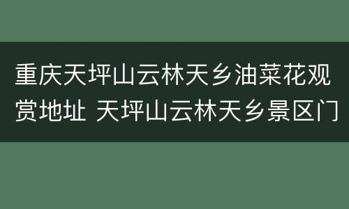 重庆天坪山云林天乡油菜花观赏地址 天坪山云林天乡景区门票