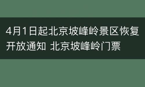 4月1日起北京坡峰岭景区恢复开放通知 北京坡峰岭门票
