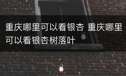 重庆哪里可以看银杏 重庆哪里可以看银杏树落叶