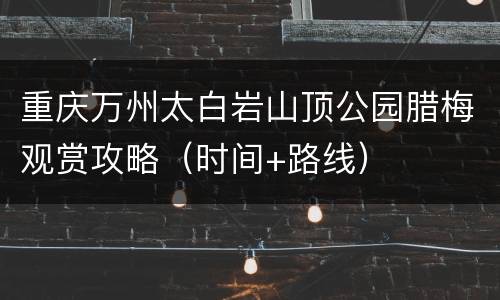 重庆万州太白岩山顶公园腊梅观赏攻略（时间+路线）