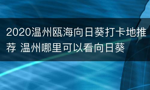 2020温州瓯海向日葵打卡地推荐 温州哪里可以看向日葵