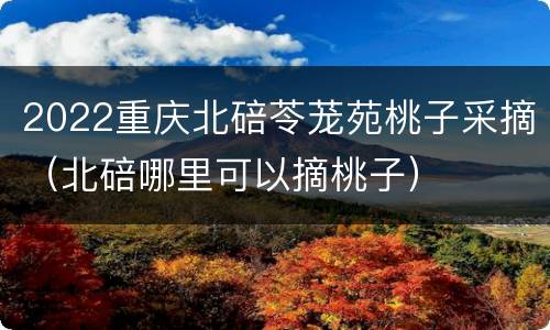 2022重庆北碚苓茏苑桃子采摘（北碚哪里可以摘桃子）