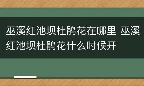 巫溪红池坝杜鹃花在哪里 巫溪红池坝杜鹃花什么时候开