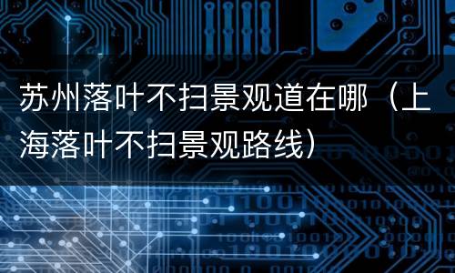 苏州落叶不扫景观道在哪（上海落叶不扫景观路线）