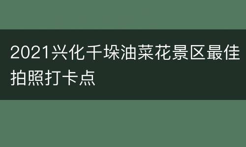 2021兴化千垛油菜花景区最佳拍照打卡点