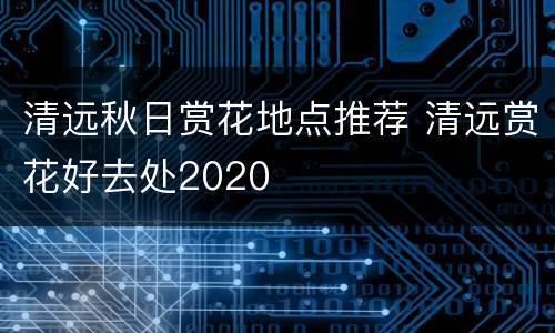 清远秋日赏花地点推荐 清远赏花好去处2020
