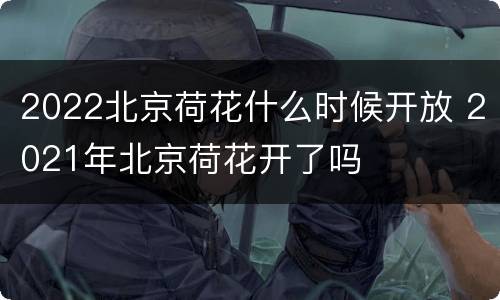 2022北京荷花什么时候开放 2021年北京荷花开了吗