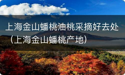 上海金山蟠桃油桃采摘好去处（上海金山蟠桃产地）