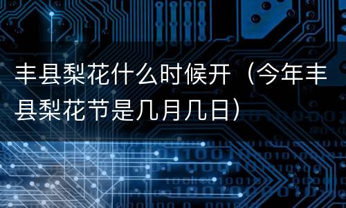 丰县梨花什么时候开（今年丰县梨花节是几月几日）