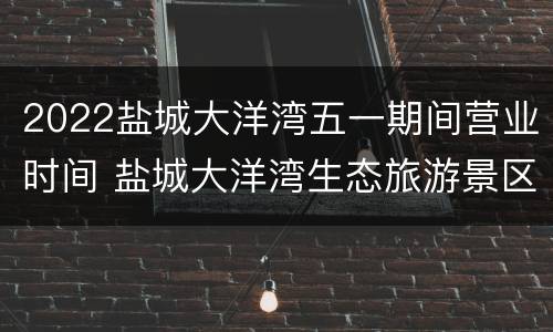 2022盐城大洋湾五一期间营业时间 盐城大洋湾生态旅游景区营业时间