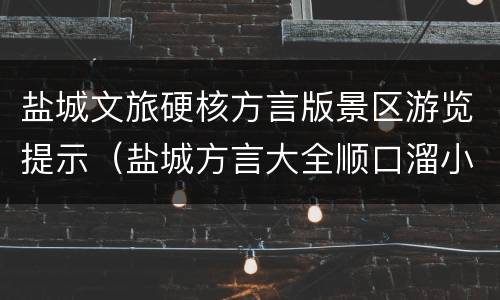 盐城文旅硬核方言版景区游览提示（盐城方言大全顺口溜小品视频）