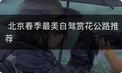  北京春季最美自驾赏花公路推荐