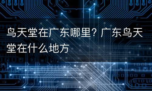 鸟天堂在广东哪里? 广东鸟天堂在什么地方