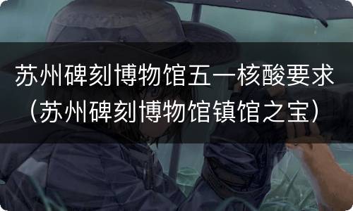 苏州碑刻博物馆五一核酸要求（苏州碑刻博物馆镇馆之宝）