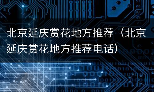 北京延庆赏花地方推荐（北京延庆赏花地方推荐电话）
