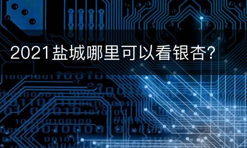 2021盐城哪里可以看银杏？