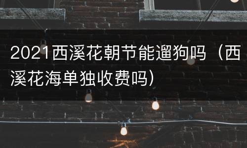 2021西溪花朝节能遛狗吗（西溪花海单独收费吗）