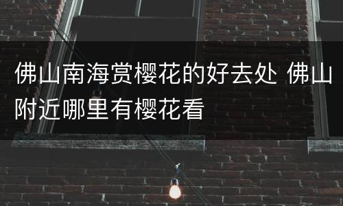 佛山南海赏樱花的好去处 佛山附近哪里有樱花看
