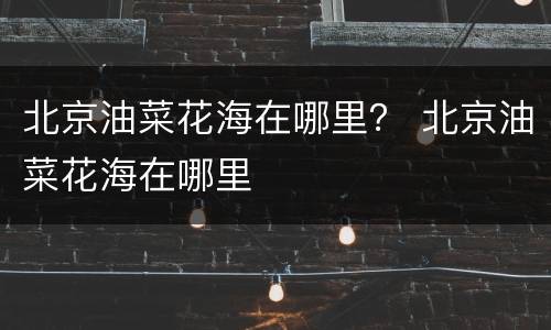 北京油菜花海在哪里？ 北京油菜花海在哪里