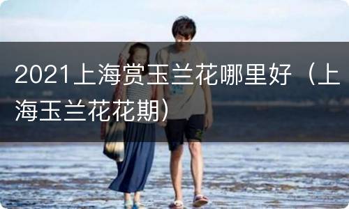 2021上海赏玉兰花哪里好（上海玉兰花花期）