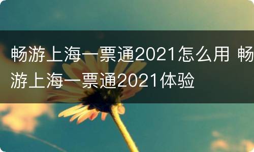 畅游上海一票通2021怎么用 畅游上海一票通2021体验