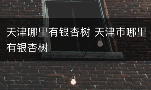 天津哪里有银杏树 天津市哪里有银杏树