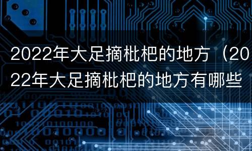 2022年大足摘枇杷的地方（2022年大足摘枇杷的地方有哪些）
