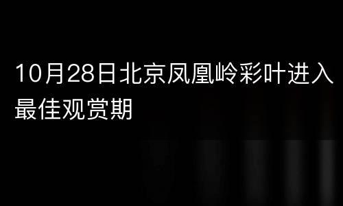 10月28日北京凤凰岭彩叶进入最佳观赏期