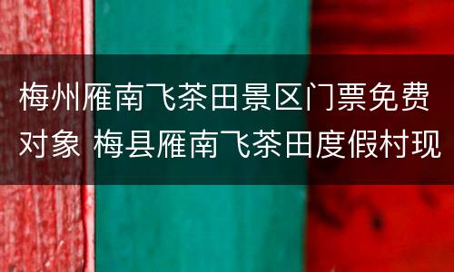 梅州雁南飞茶田景区门票免费对象 梅县雁南飞茶田度假村现状