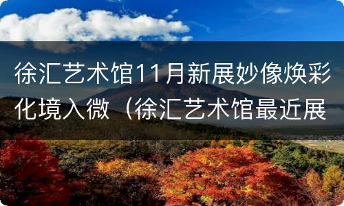 徐汇艺术馆11月新展妙像焕彩化境入微（徐汇艺术馆最近展览）