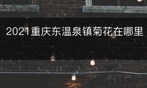 2021重庆东温泉镇菊花在哪里