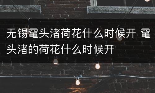 无锡鼋头渚荷花什么时候开 鼋头渚的荷花什么时候开