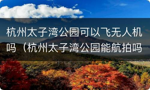 杭州太子湾公园可以飞无人机吗（杭州太子湾公园能航拍吗）