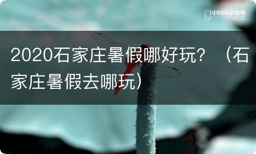 2020石家庄暑假哪好玩？（石家庄暑假去哪玩）