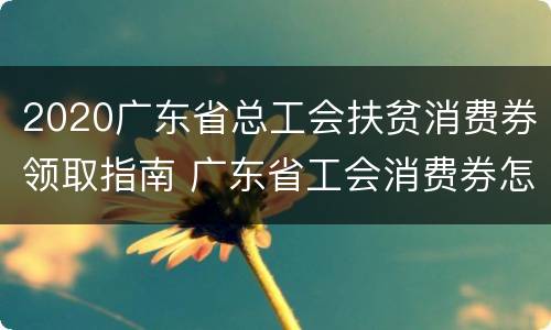 2020广东省总工会扶贫消费券领取指南 广东省工会消费券怎么用
