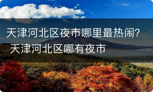 天津河北区夜市哪里最热闹？ 天津河北区哪有夜市