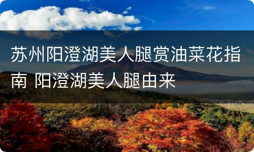 苏州阳澄湖美人腿赏油菜花指南 阳澄湖美人腿由来