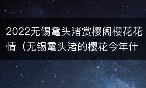 2022无锡鼋头渚赏樱阁樱花花情（无锡鼋头渚的樱花今年什么时候开）