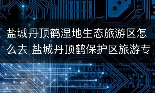 盐城丹顶鹤湿地生态旅游区怎么去 盐城丹顶鹤保护区旅游专线