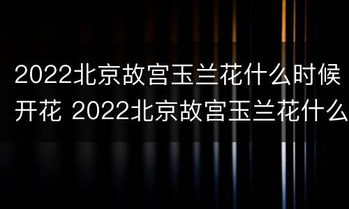 2022北京故宫玉兰花什么时候开花 2022北京故宫玉兰花什么时候开花呀