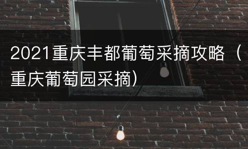 2021重庆丰都葡萄采摘攻略（重庆葡萄园采摘）
