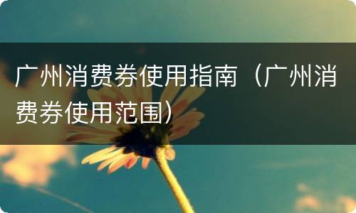 广州消费券使用指南（广州消费券使用范围）
