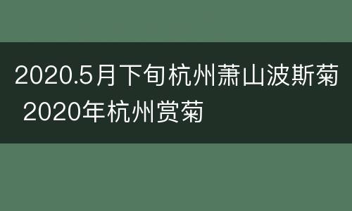 2020.5月下旬杭州萧山波斯菊 2020年杭州赏菊