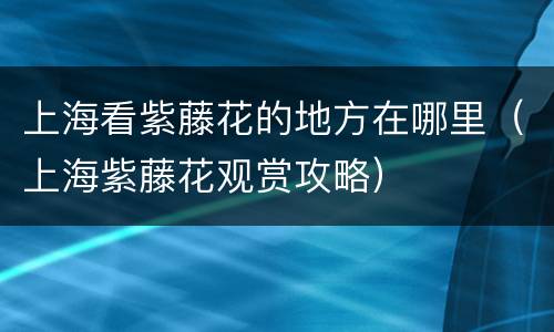 上海看紫藤花的地方在哪里（上海紫藤花观赏攻略）