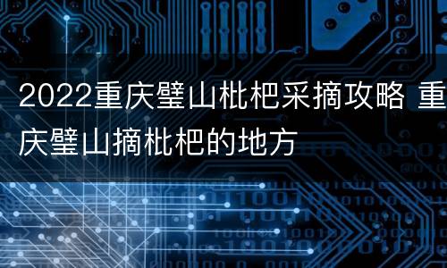 2022重庆璧山枇杷采摘攻略 重庆璧山摘枇杷的地方