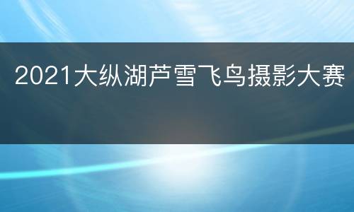 2021大纵湖芦雪飞鸟摄影大赛