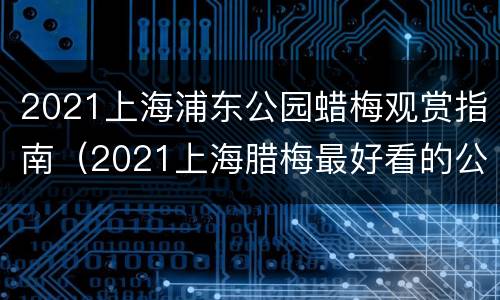 2021上海浦东公园蜡梅观赏指南（2021上海腊梅最好看的公园）