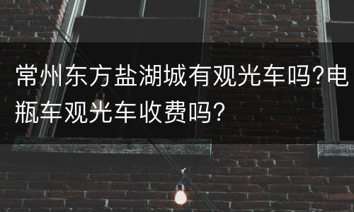 常州东方盐湖城有观光车吗?电瓶车观光车收费吗?